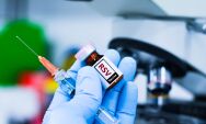SUS vai aplicar vacina contra o v&iacute;rus da bronquiolite j&aacute; em novembro de 2025 