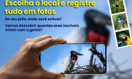 Big Day Coxim 2025: iniciativa incentiva moradores a fotografar aves e valorizar a natureza