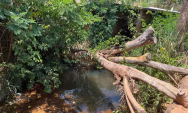 Produtor de mandioca morre afogado ao tentar coletar &aacute;gua em c&oacute;rrego de Rio Verde de Mato Grosso

