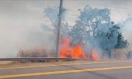 Inc&ecirc;ndio atinge vegeta&ccedil;&atilde;o e compromete visibilidade na BR-163 em Campo Grande
