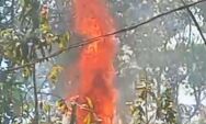 Falta de manuten&ccedil;&atilde;o da Energisa provoca inc&ecirc;ndio e deixa moradores sem energia na zona rural Coxim