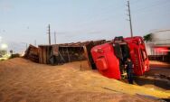 Carreta bitrem tomba na BR-163 e espalha milho no acostamento
