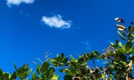       Ter&ccedil;a-feira (30) em Coxim com tempo aberto e altas temperaturas