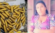Passageira que passou mal em &ocirc;nibus morreu ap&oacute;s ingerir 78 c&aacute;psulas de coca&iacute;na, aponta laudo