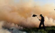 Governo do MS prorroga Estado de Emerg&ecirc;ncia Ambiental at&eacute; novembro de 2025 devido ao risco 