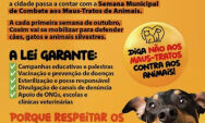 Eles Sentem Como N&oacute;s a Dor Silenciosa dos Animais Maltratados