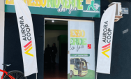 Aurora Coop realiza recrutamento em Rio Verde de Mato Grosso nesta sexta-feira
