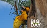 Coxim celebra o sucesso do Big Day com entusiasmo e riqueza de registros