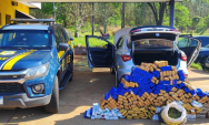PRF apreende 340 kg de maconha e 3 kg de skunk em ve&iacute;culo clonado na BR-262
