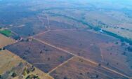 Empresa &eacute; multada em R$ 3,9 milh&otilde;es por inc&ecirc;ndio que devastou 2 mil hectares em Coxim