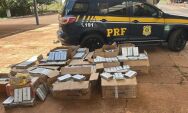 Pol&iacute;cia apreende 629 kg de coca&iacute;na em caminh&atilde;o de min&eacute;rio na BR-262 em Terenos
