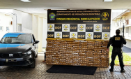 DOF apreende 633 kg de maconha e prende duas pessoas em entreposto
