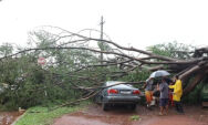 Ventos de 89 km/h causam estragos em Campo Grande e chuva segue para regi&atilde;o norte