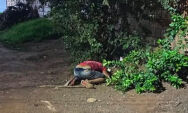 Homem &eacute; morto a tiros em Rio Verde; Pol&iacute;cia Civil investiga o caso

