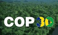 Riedel apresenta avan&ccedil;os de Mato Grosso do Sul em sustentabilidade e inclus&atilde;o na COP30