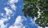 Coxim ter&aacute; feriado de Consci&ecirc;ncia Negra com sol forte e calor intenso nesta quinta (20)