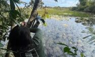 Projeto que monitora o Pantanal ser&aacute; financiado pelo 3&ordm; homem mais rico do mundo
