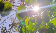 Tempo aberto e calor marcam a ter&ccedil;a-feira em Coxim