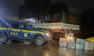 Pol&iacute;cia apreende 241 kg de maconha em caminh&atilde;o na BR-262, em Ribas do Rio Pardo
