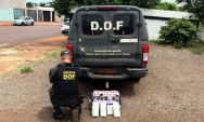 DOF prende mulher com haxixe marroquino e skunk na MS-164, em Maracaju
