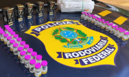 PRF apreende carga de medicamentos durante fiscaliza&ccedil;&atilde;o na BR-262
