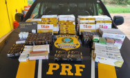 PRF apreende carga de medicamentos para emagrecimento na BR-262
