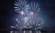 Virada do ano em Coxim reacende alerta sobre sofrimento dos pets com fogos de artif&iacute;cio 