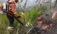 Bombeiros combatem inc&ecirc;ndio florestal em divisa de fazendas no Pantanal
