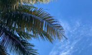Coxim enfrenta domingo de calor intenso e nuvens com possibilidade de chuva
