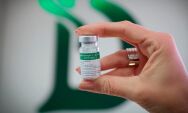 SUS inicia fase piloto com vacina brasileira contra a dengue em tr&ecirc;s cidades 