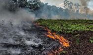 Estiagem severa e queimadas acendem alerta m&aacute;ximo em Mato Grosso do Sul