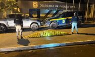 Motorista tenta fugir da PRF, mas &eacute; preso com 103 kg de coca&iacute;na em Rio Negro
