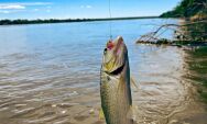 Reabertura da pesca deve impulsionar economia e turismo em Coxim