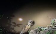 Pescador escorrega de tronco de &aacute;rvore e se afoga no Rio Jatob&aacute; em Rochedo