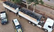 Caminhoneiro &eacute; preso com cerca de 320 pneus de origem estrangeira ap&oacute;s abordagem na BR-163
