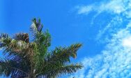 Primeiro domingo de mar&ccedil;o come&ccedil;a com tempo aberto e muito calor em Coxim