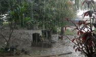 Prepare o guarda-chuva: quinta-feira (12) ser&aacute; de chuva durante todo o dia em Coxim
