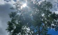 Sol, calor e possibilidade de pancadas de chuva marcam o s&aacute;bado (14) em Coxim