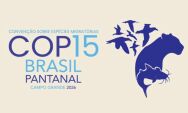 Campo Grande entra no mapa global da preserva&ccedil;&atilde;o ambiental ao sediar confer&ecirc;ncia da ONU