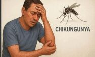 Chikungunya avan&ccedil;a em MS colocando Coxim em alerta 