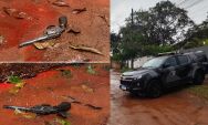 Homem de 27 anos com 77 passagens pela pol&iacute;cia morre durante confronto com Choque em MS