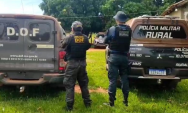 PM recupera 34 cabe&ccedil;as de gado furtadas e prende suspeito de recepta&ccedil;&atilde;o em MS
