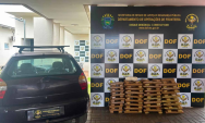 DOF prende homem com 120 kg de maconha; suspeito diz que quitava d&iacute;vida com fac&ccedil;&atilde;o
