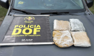 Mulher &eacute; presa com skunk em carro de aplicativo durante bloqueio do DOF em Corumb&aacute;
