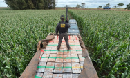 DOF apreende mais de 6 toneladas de maconha em caminh&atilde;o durante persegui&ccedil;&atilde;o em Dourados
