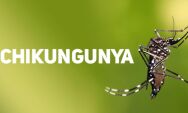 Chikungunya avan&ccedil;a em Mato Grosso do Sul e 2026 j&aacute; se aproxima do pior cen&aacute;rio da hist&oacute;ria
