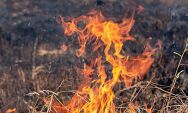 Per&iacute;odo de proibi&ccedil;&atilde;o das queimadas come&ccedil;a em julho e acende alerta para risco de inc&ecirc;ndios em Coxim 