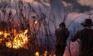 MS refor&ccedil;a preven&ccedil;&atilde;o e inicia a&ccedil;&otilde;es contra inc&ecirc;ndios antes do per&iacute;odo de seca