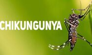 Chikungunya avan&ccedil;a em Mato Grosso do Sul e Estado confirma 17 mortes pela doen&ccedil;a em 2026