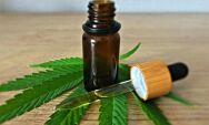 Anvisa autoriza Embrapa a iniciar pesquisas com cultivo de cannabis no Brasil